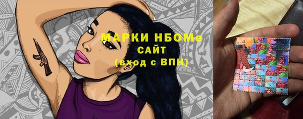 apvp Алексин