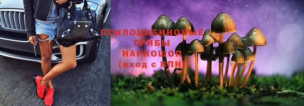 apvp Алексин