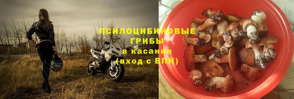 apvp Алексин